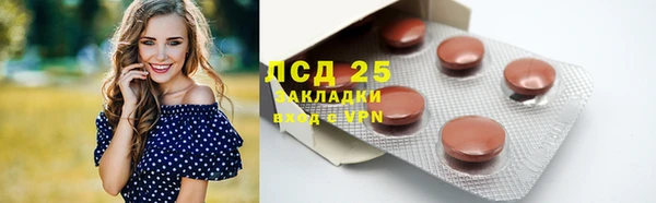 спайс Арсеньев