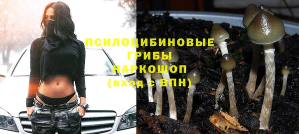 спайс Арсеньев