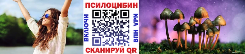 где можно купить наркотик  Игарка  Галлюциногенные грибы Psilocybine cubensis 